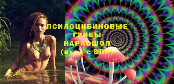 дурь Дмитров