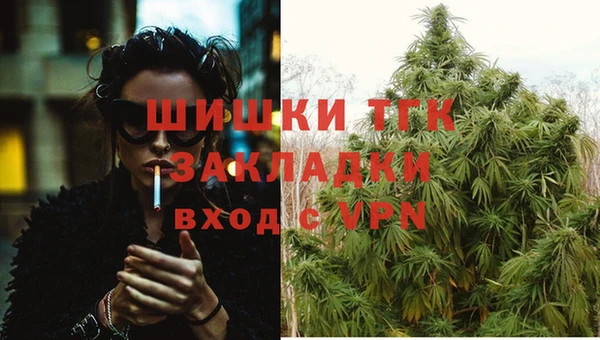 apvp Дмитровск
