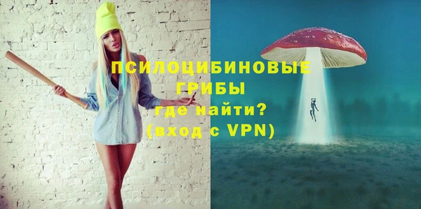 дурь Дмитров