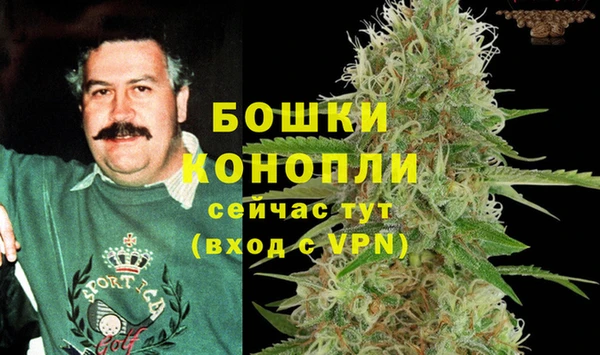 кокаин Дмитриев