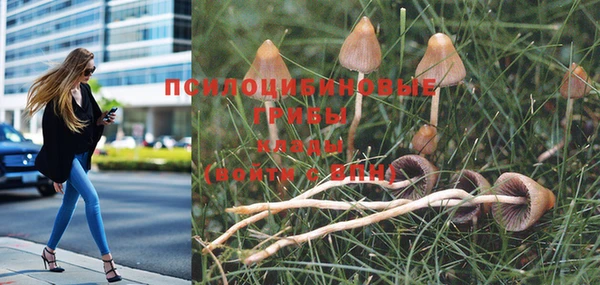 дурь Дмитров
