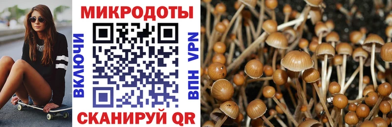 Галлюциногенные грибы Cubensis Лахденпохья