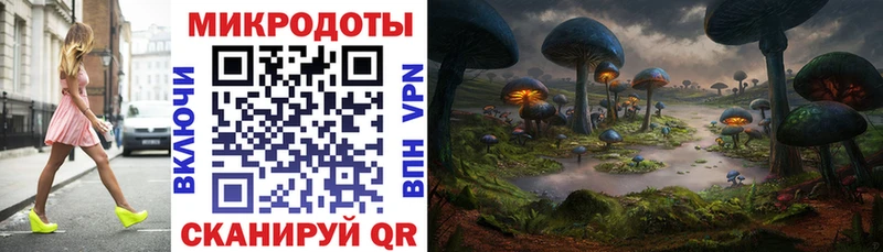 Галлюциногенные грибы Psilocybe сайты даркнета формула Лахденпохья купить