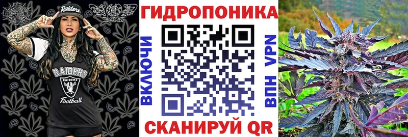 купить   Лахденпохья  Марихуана THC 21% 